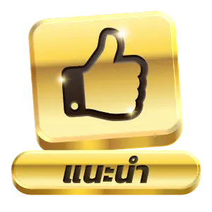 icon6